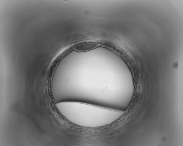 X0000095131208200712070959