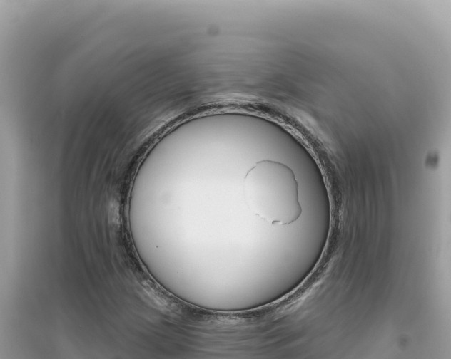 X0000095131209200712070959
