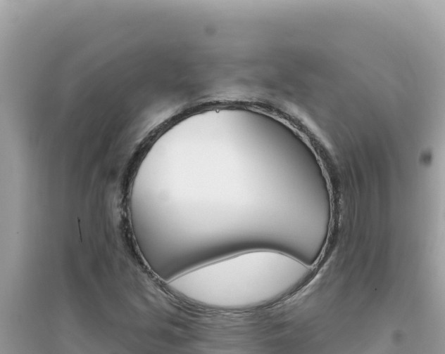 X0000095131213200712070959