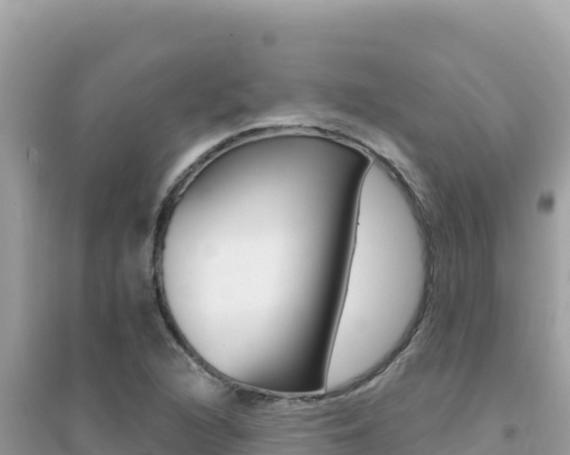 X0000095131216200712070959