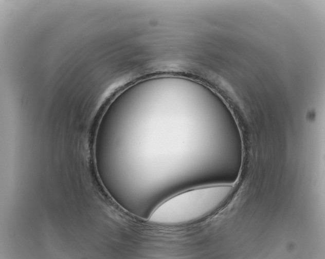 X0000095131218200712070959