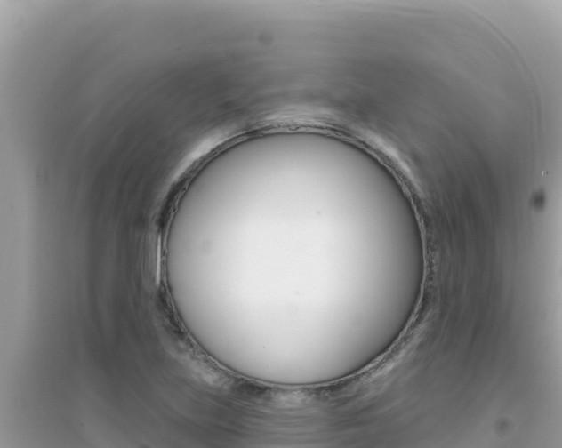 X0000095131219200712070959