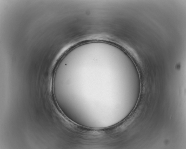 X0000095131224200712071000