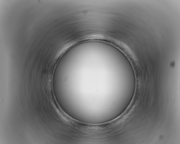 X0000095131225200712071000