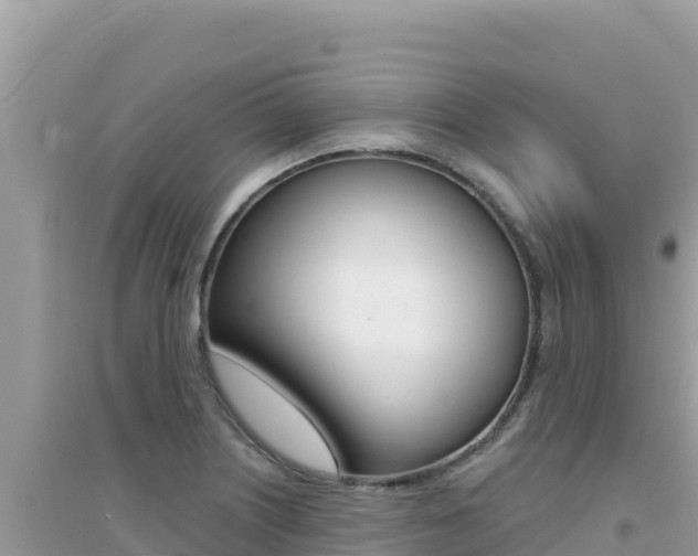 X0000095131226200712071000