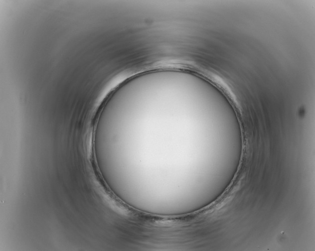X0000095131227200712071000