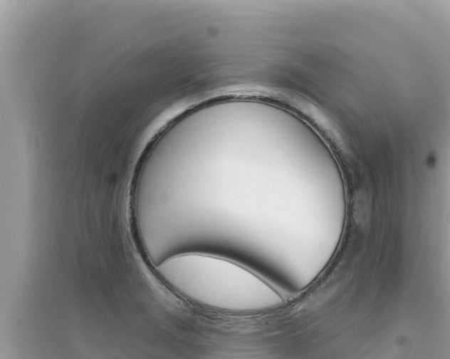 X0000095131229200712071000