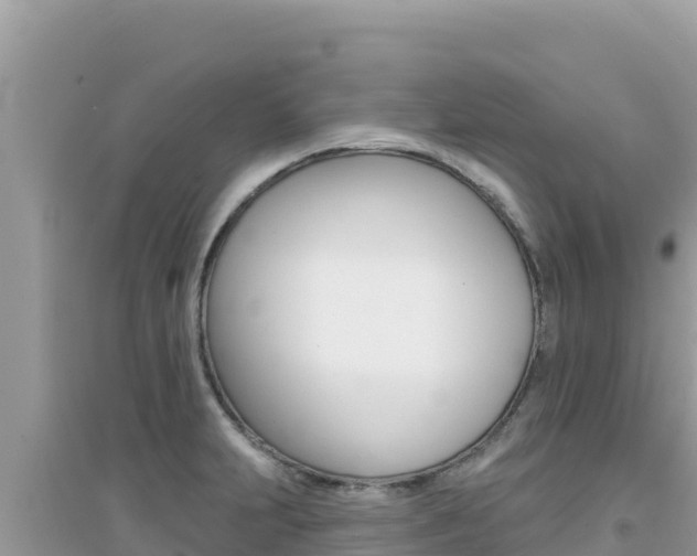 X0000095131231200712071000