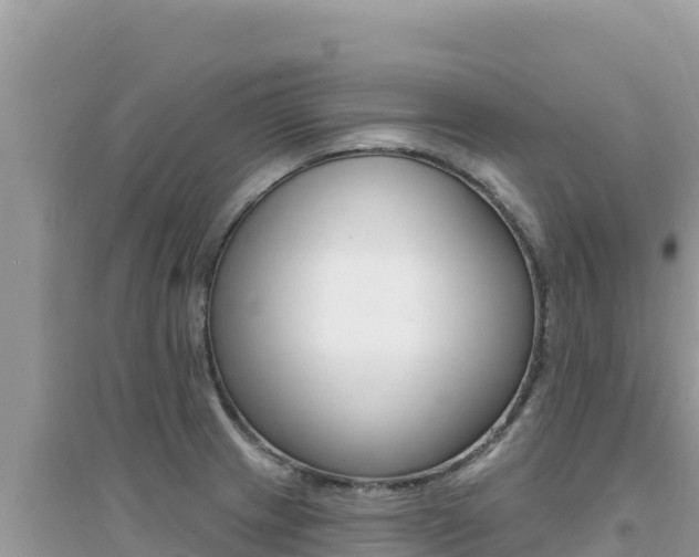 X0000095131233200712071000