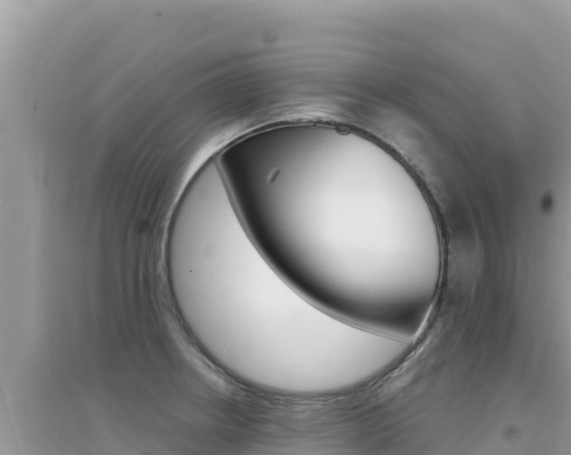 X0000095131234200712071000
