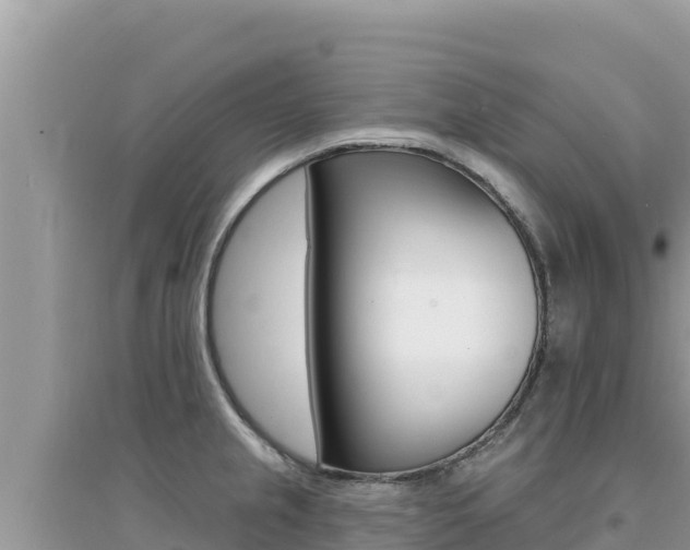 X0000095131237200712071000