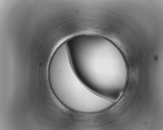 X0000095131238200712071000