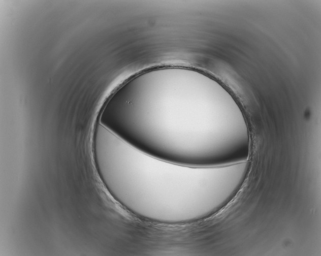 X0000095131240200712071000