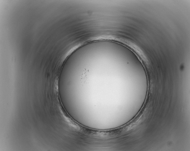 X0000095131241200712071000