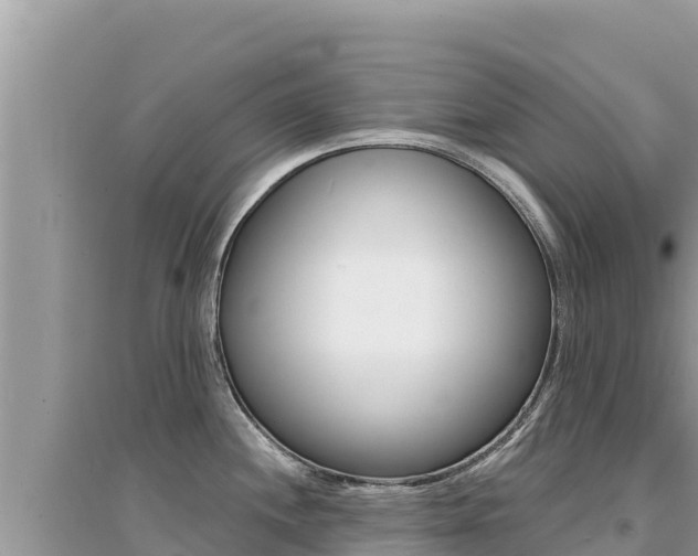 X0000095131244200712071000