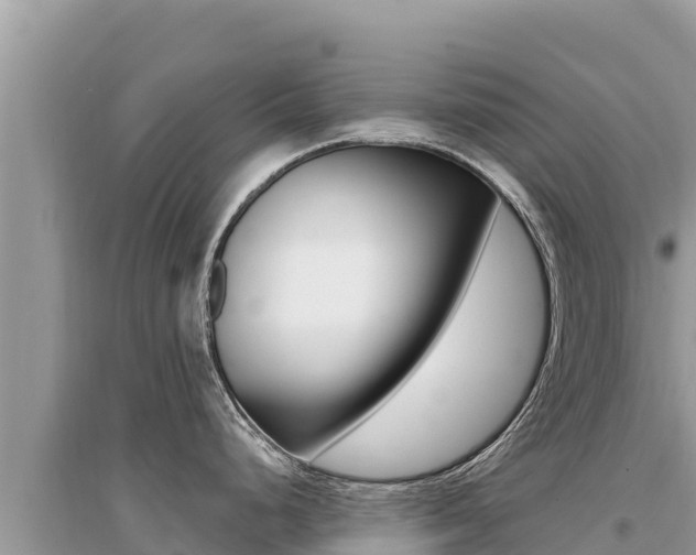 X0000095131248200712071000