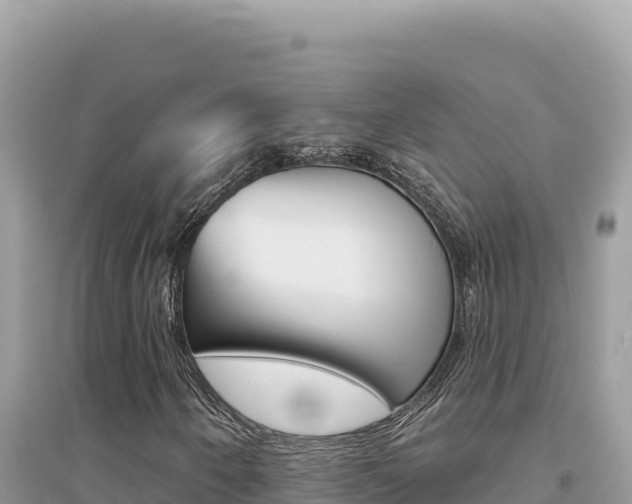 X0000095131250200712070959