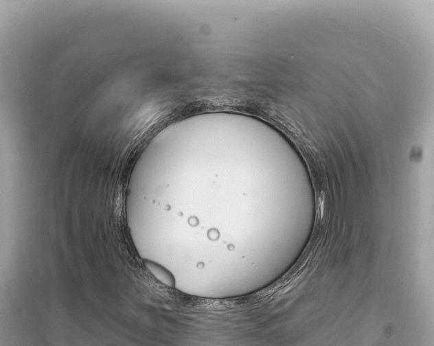 X0000095131251200712070959