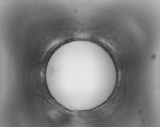 X0000095131254200712070959