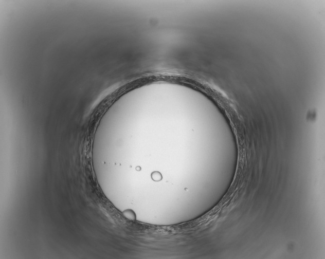 X0000095131255200712070959