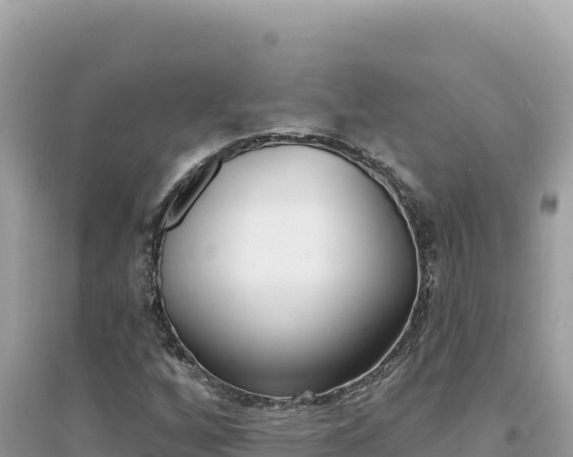 X0000095131256200712070959