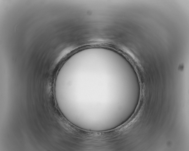 X0000095131259200712070959