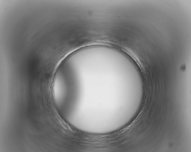 X0000095131260200712070959