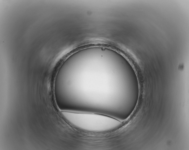 X0000095131261200712070959