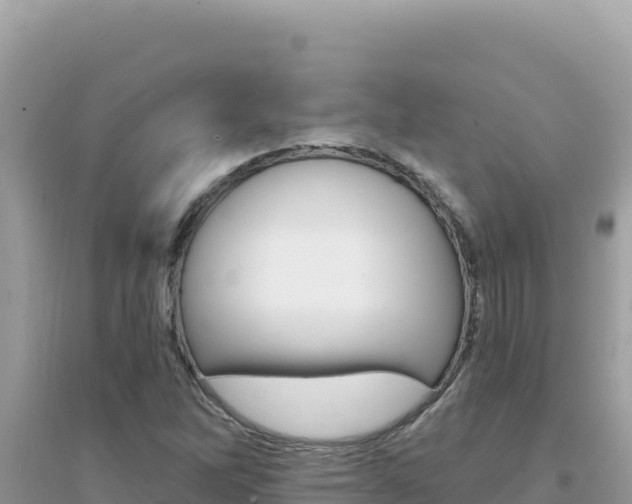 X0000095131262200712070959
