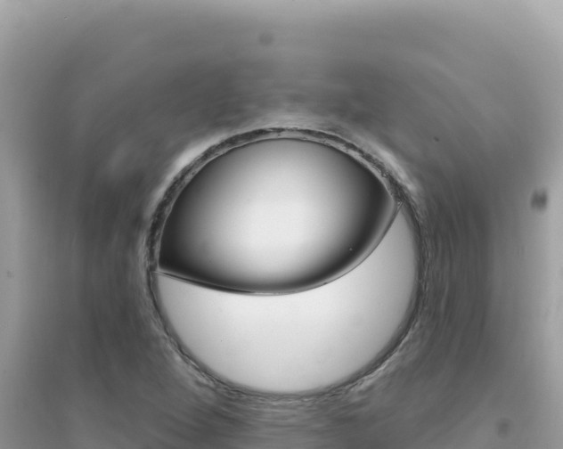 X0000095131264200712070959