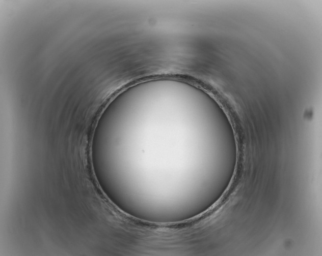 X0000095131265200712070959