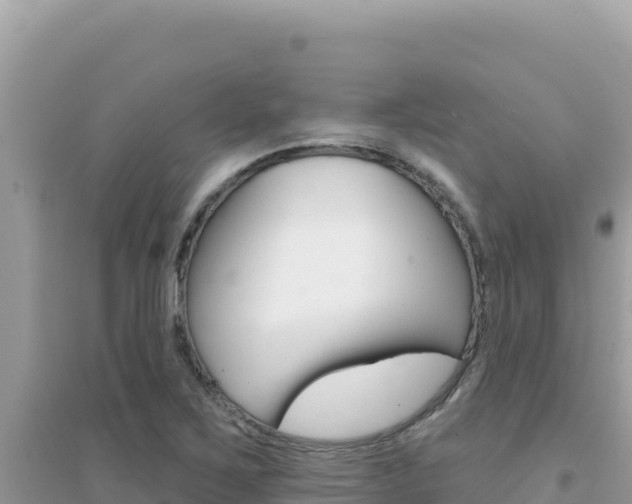 X0000095131267200712070959