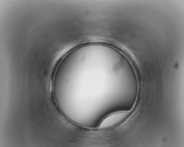 X0000095131269200712070959