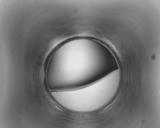 X0000095131270200712070959