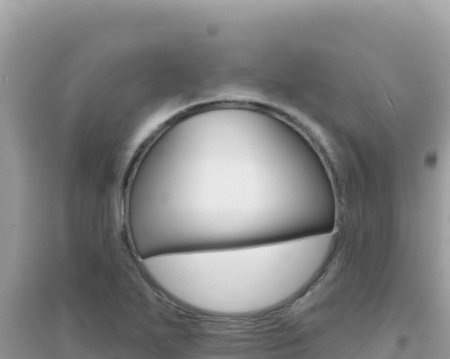 X0000095131271200712070959