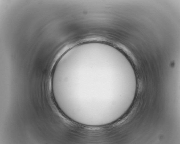 X0000095131274200712070959
