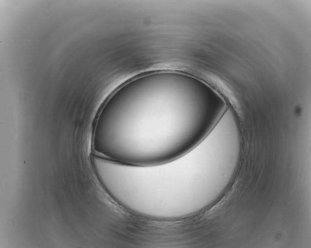 X0000095131276200712070959