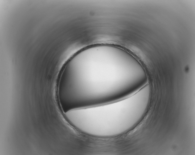 X0000095131277200712070959