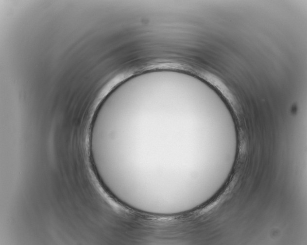 X0000095131282200712070958