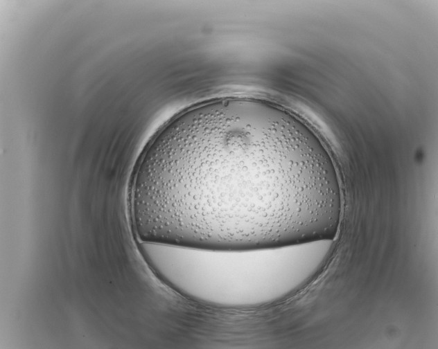 X0000095131283200712070958