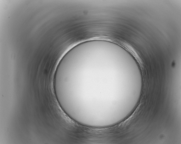 X0000095131284200712070958
