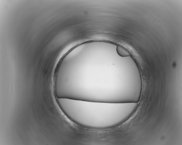 X0000095131286200712070958