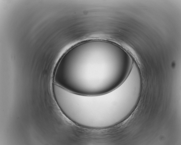 X0000095131288200712070958