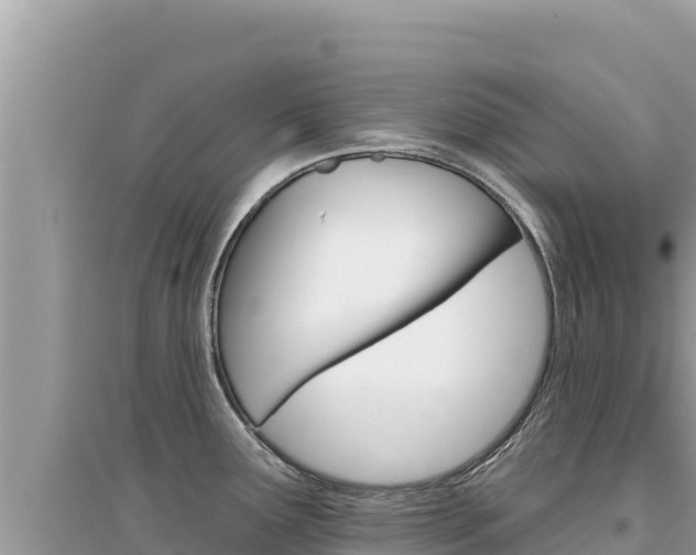 X0000095131291200712070958
