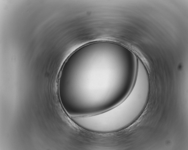 X0000095131292200712070958