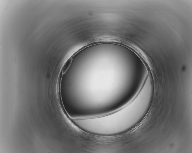 X0000095131293200712070958