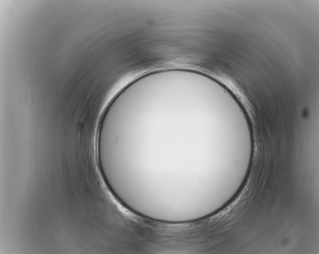 X0000095131294200712070958
