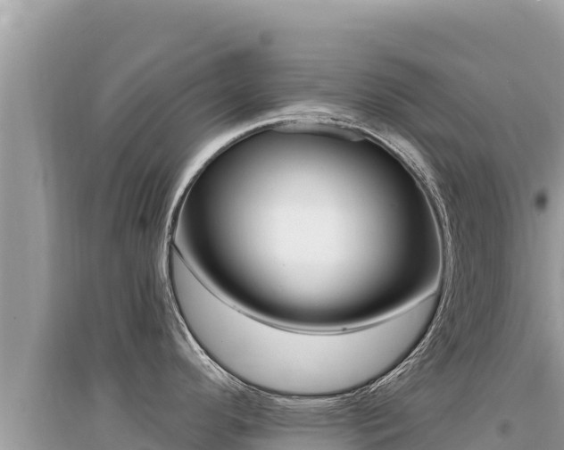 X0000095131296200712070958