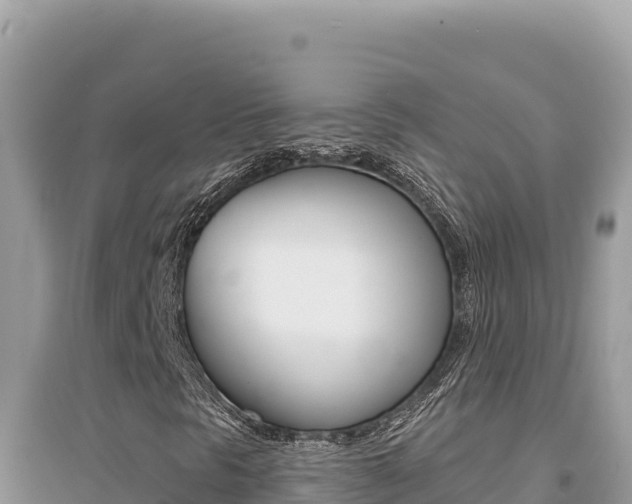 X0000095131297200712070957