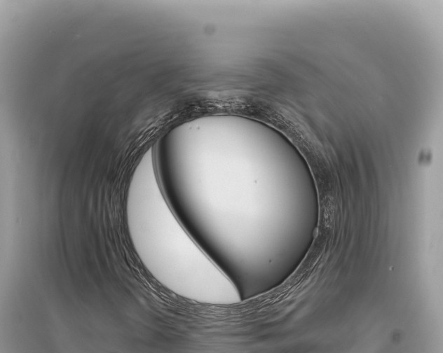 X0000095131298200712070957